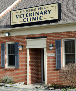 opossum-pike-veterinary-clinic